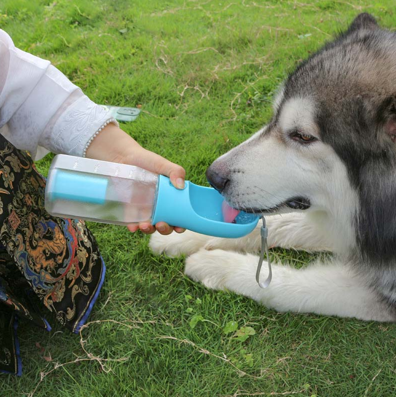 Chien qui boit dans la Gourde Nomade WOUZLY en pleine balade
